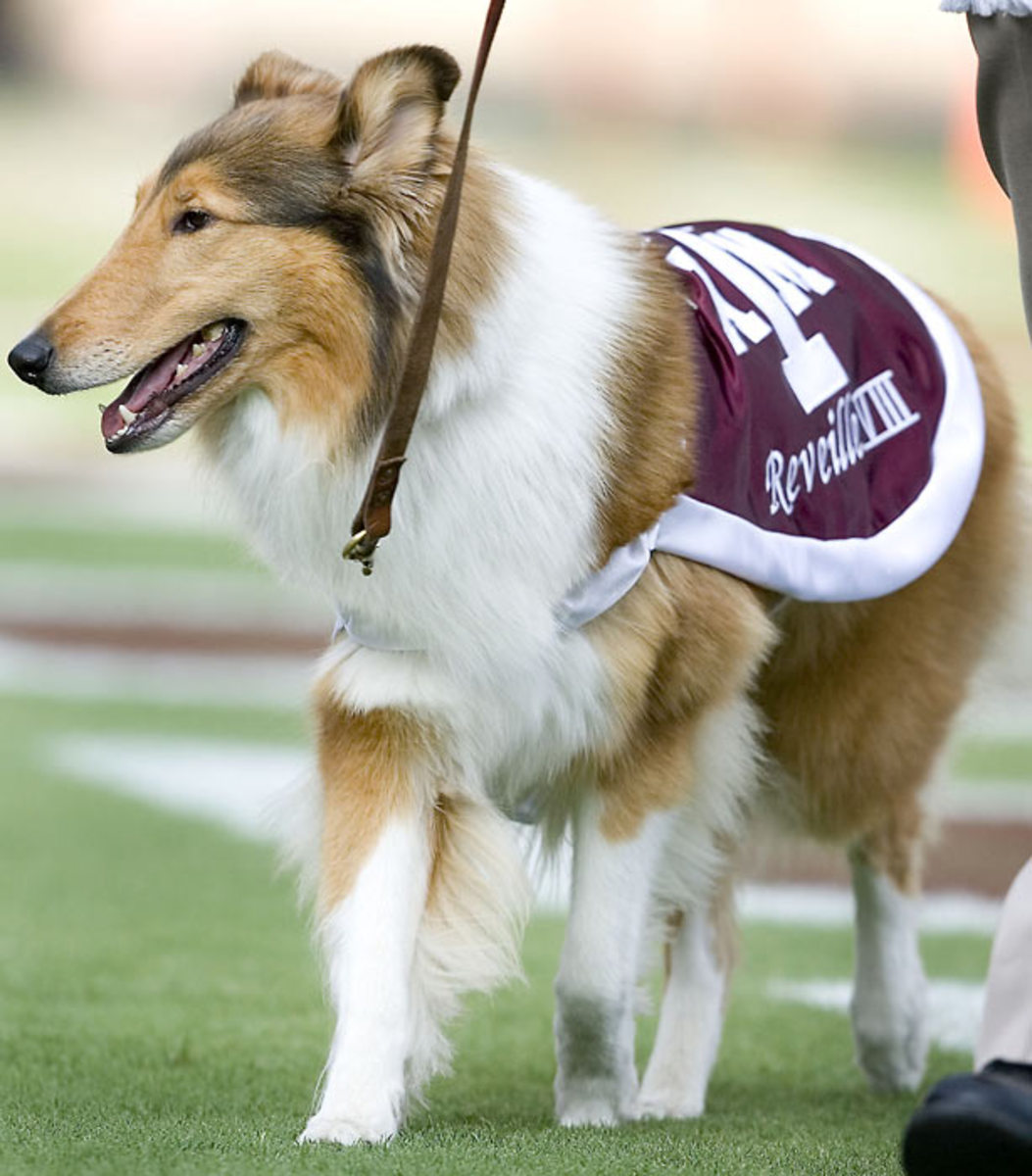 Reveille VIII
